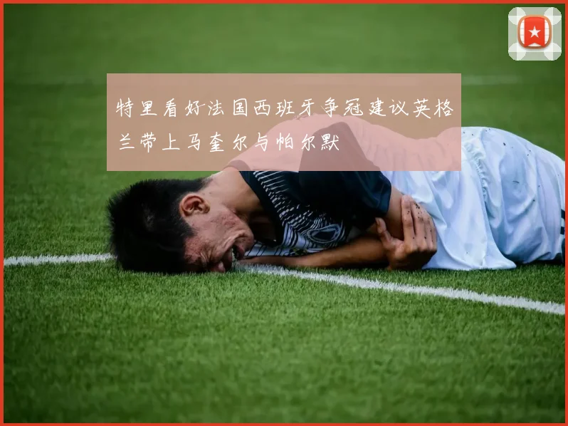 特里看好法国西班牙争冠建议英格兰带上马奎尔与帕尔默