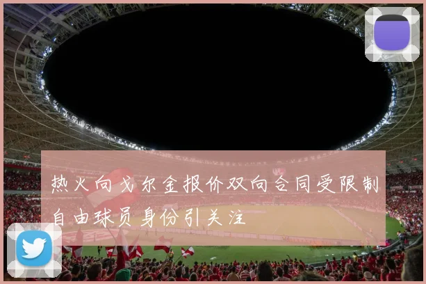 热火向戈尔金报价双向合同受限制自由球员身份引关注